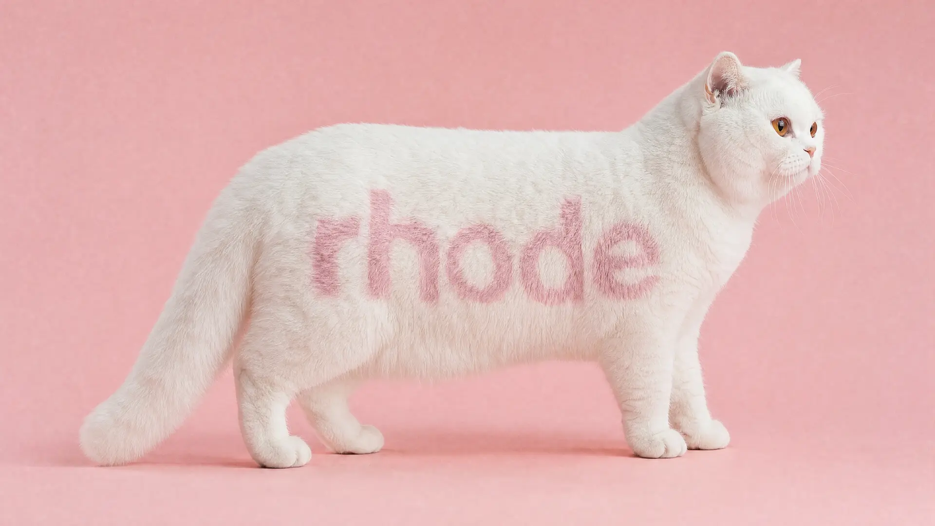 RHODE — WHITE CAT WITH RHODE LOGO ON PINK SET